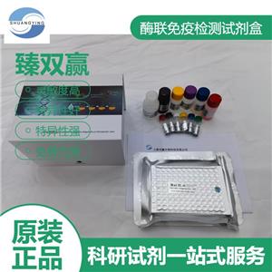 人补体C3转化酶抗体(C3c-Ab)ELISA试剂盒