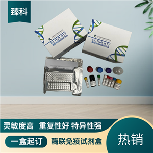 大鼠游离甲状腺素(FT4）ELISA试剂盒,Rat FT4 ELISA KIT