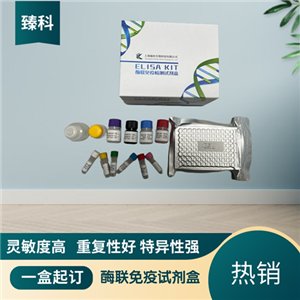 大鼠游离甲状腺素(FT4）ELISA试剂盒,Rat FT4 ELISA KIT