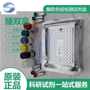 人DNA损伤诱导转录因子4样蛋白(DDIT4/RTP801)ELISA试剂盒