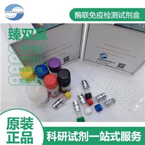 人N钙黏蛋白/神经钙黏蛋白(N-Cad)ELISA试剂盒,N-Cad ELISA Kit