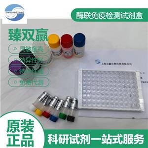 人脱氧核糖核酸酶Ⅰ(DNase I)ELISA试剂盒