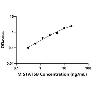 STAT5B ELISA KIT / 小鼠信号传导转录激活因子5B ELISA试剂盒