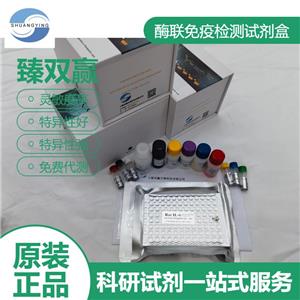 人前列腺素E(PGE)ELISA试剂盒