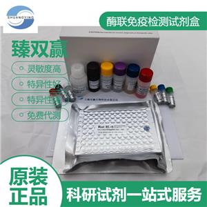 人表皮转谷氨酰胺酶(TGM3)ELISA试剂盒