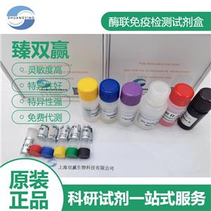 人表皮转谷氨酰胺酶(TGM3)ELISA试剂盒