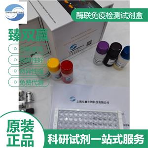 人白细胞介素40(IL-40)ELISA试剂盒