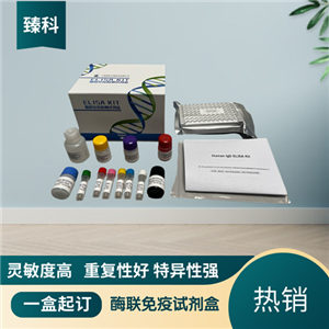 人军团菌抗体IgM(LP Ab-IgM）elisa定量试剂盒