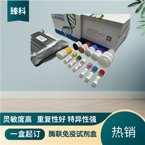 大鼠磷脂酰丝氨酸(PS）elisa试剂盒