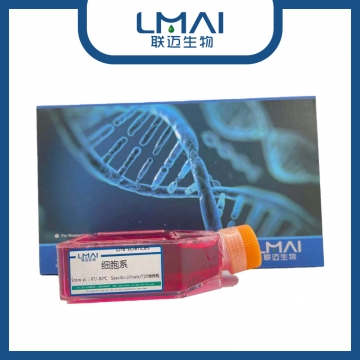 BHT101细胞（甲状腺癌细胞未分化STR鉴定正确）LM8C0617,BHT101