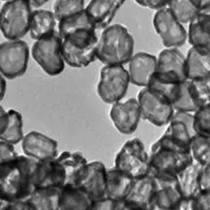 水溶性金纳米笼,Water-Soluble Gold Nanocages