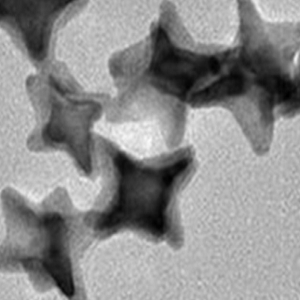 水溶性金纳米星,Water-Soluble Gold Nanostars