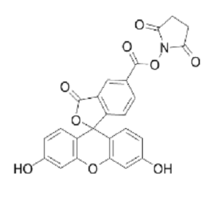 异硫氰酸荧光素琥珀酰亚胺酯,FITC-NHS