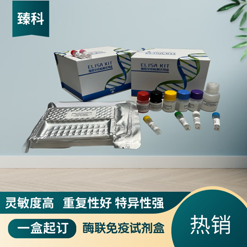 大鼠胰岛素(INS）ELISA试剂盒,RatINSELISA KIT