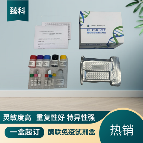 大鼠趋化因子(fractalkine/CX3CL1）ELISA试剂盒,RaIfractalkine/CX3CL1ELISA KIT