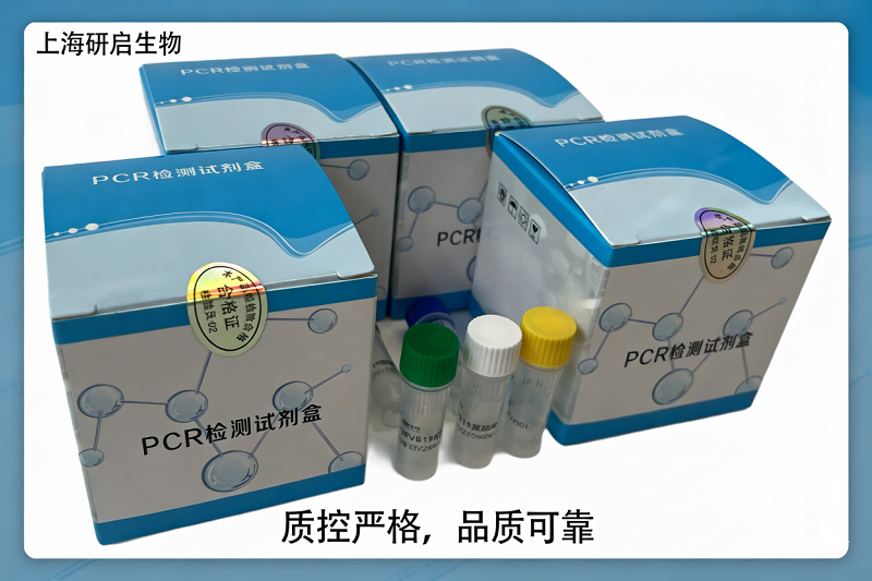 猪瘟病毒/猪蓝耳病病毒通用型/口蹄疫病毒通用型(CSFV/PRRSV-U/FMDV-U)核酸检测试剂盒(三重荧光-PCR法)