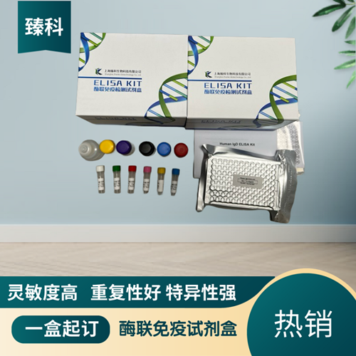 大鼠可溶性瘦素受体(sLR）ELISA试剂盒,Rat sLRELISA KIT