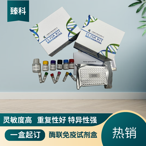 大鼠白介素18(IL-18）ELISA试剂盒 ZK-5847,Rat IL-18 ELISA KIT