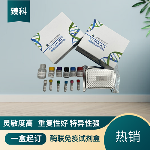 大鼠白介素28受体(IL-28R）ELISA试剂盒 ZK-5860,Rat IL-28R ELISA KIT
