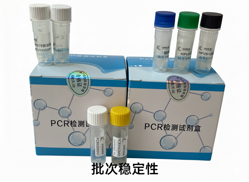 脑膜炎球菌属A型(NM-A)核酸检测试剂盒