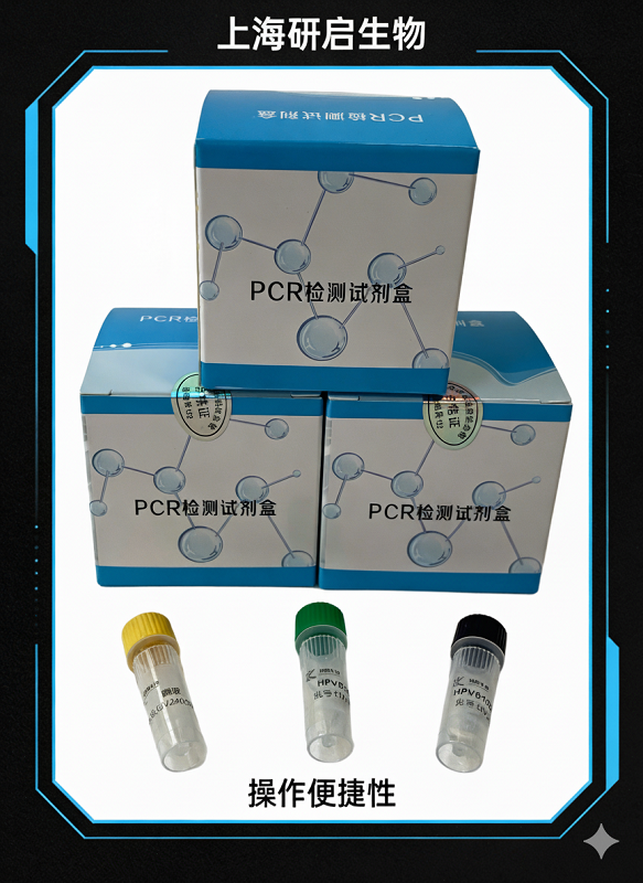 病猪蓝耳高致病/NADC-30株（PRRSV-M/PRRSV-NADC30）核酸检测试剂盒（双重荧光-PCR法）