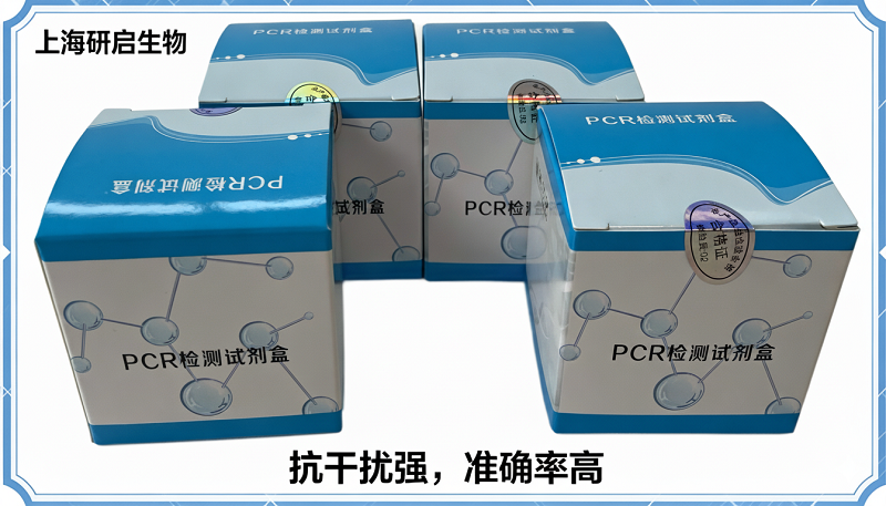 病毒性出血性败血症病毒(VHSV)核酸检测试剂盒