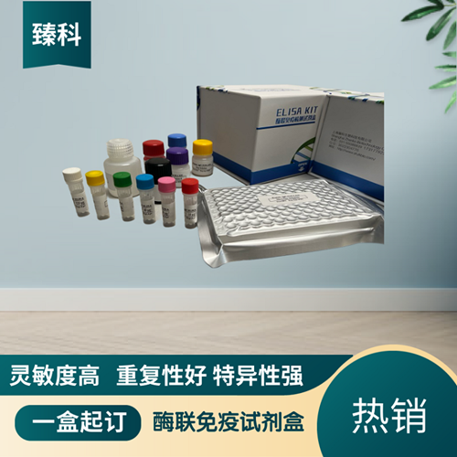 大鼠核因子κB抑制蛋白α(IKBα）ELISA试剂盒 ZK-5858,Rat IKBα ELISA KIT