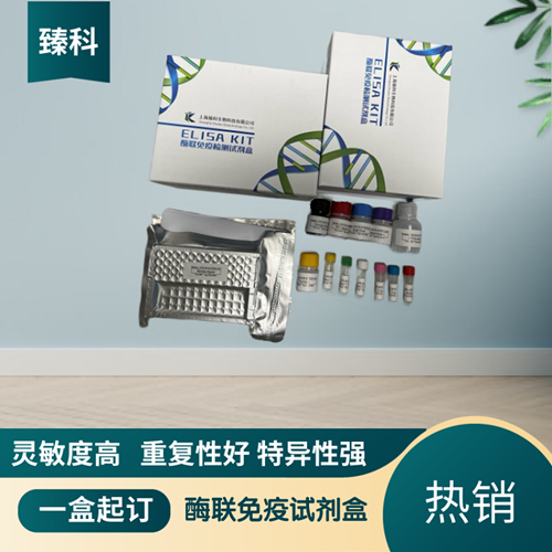 大鼠胰岛素样生长因子2(IGF-2）ELISA试剂盒 ZK-5853,Rat IGF-2 ELISA KIT