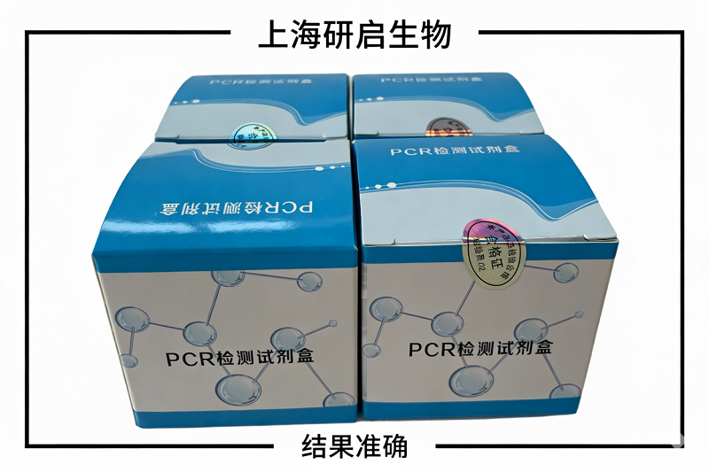 鳜鱼传染性脾肾坏死病毒(ISKNV)核酸检测方法