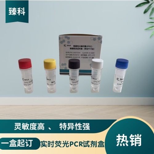 猪圆环病毒II型核酸试剂盒（荧光PCR法）