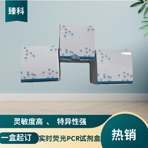 禽流感病毒N1亚型PCR试剂盒（荧光PCR法）