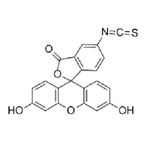异硫氰酸荧光素,FITC