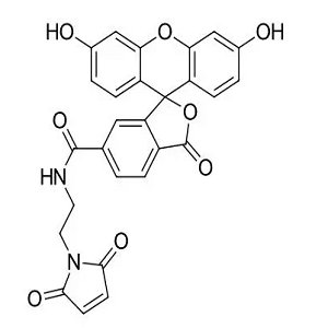 6-羧基荧光素-马来酰亚胺,6-FAM?Maleimide