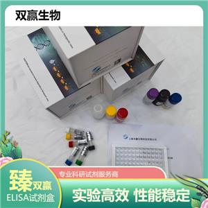 人胃动蛋白2抗体(GKN2 Ab)ELISA试剂盒