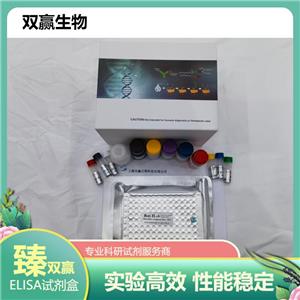 人谷氨酰胺酶(GLNS)ELISA试剂盒