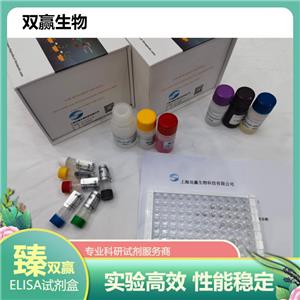 人谷氨酰胺酶(GLNS)ELISA试剂盒