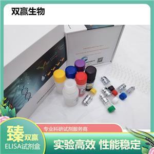 人肾损伤分子(Kim)ELISA试剂盒