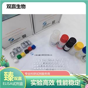 人蛋白精氨酸甲基转移酶1(PRMT1)ELISA试剂盒