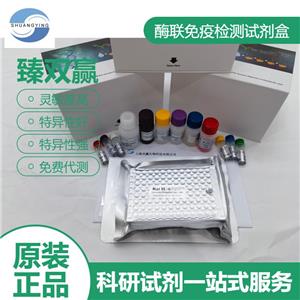 人无翅型MMTV整合位点家族成员6(WNT6)ELISA试剂盒