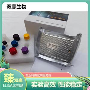 人无翅型MMTV整合位点家族成员6(WNT6)ELISA试剂盒