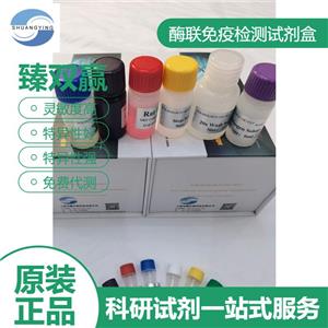 人窖蛋白Caveolin3(Cav-3)ELISA试剂盒