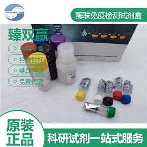 人窖蛋白Caveolin2(Cav-2)ELISA试剂盒