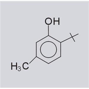 6-叔丁基-3-甲基苯酚;6-叔丁基间甲酚