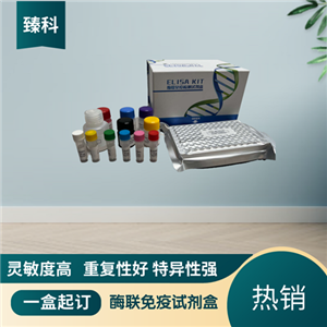 大鼠谷氨酸脱羧酶65(GAD65）elisa试剂盒