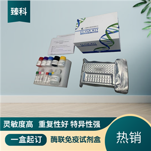 人抗DNA酶B抗体(anti-DNase B Ab）elisa定量试剂盒