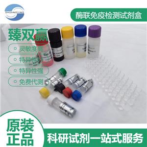 人I型胶原C末端肽(ICTP)ELISA试剂盒