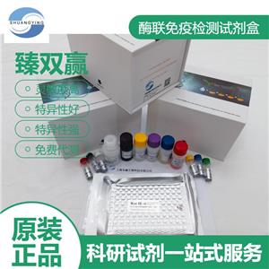 人细胞毒素相关蛋白A抗体(CagA-Ab)ELISA试剂盒