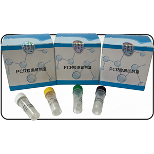 禽流感病毒H5/H9亚型（AIV-H5/H9）核酸检测试剂盒 (双重荧光-PCR法)