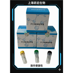 口蹄疫通用/塞尼卡谷病毒（FMDV-U/SVV）核酸检测试剂盒(双重荧光-PCR法)