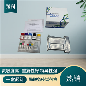 大鼠白三烯E4(LTE4）ELISA试剂盒,Rat LTE4 ELISA KIT